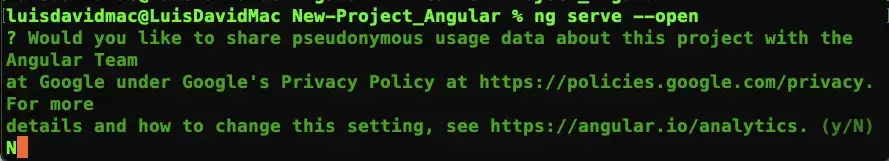 Inicialización del servidor Angular